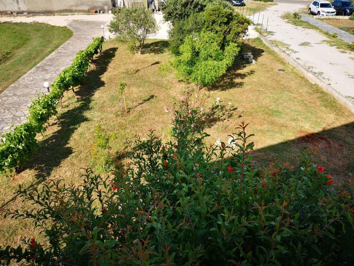 Apartmani Labud Sukošan Exteriér fotografie