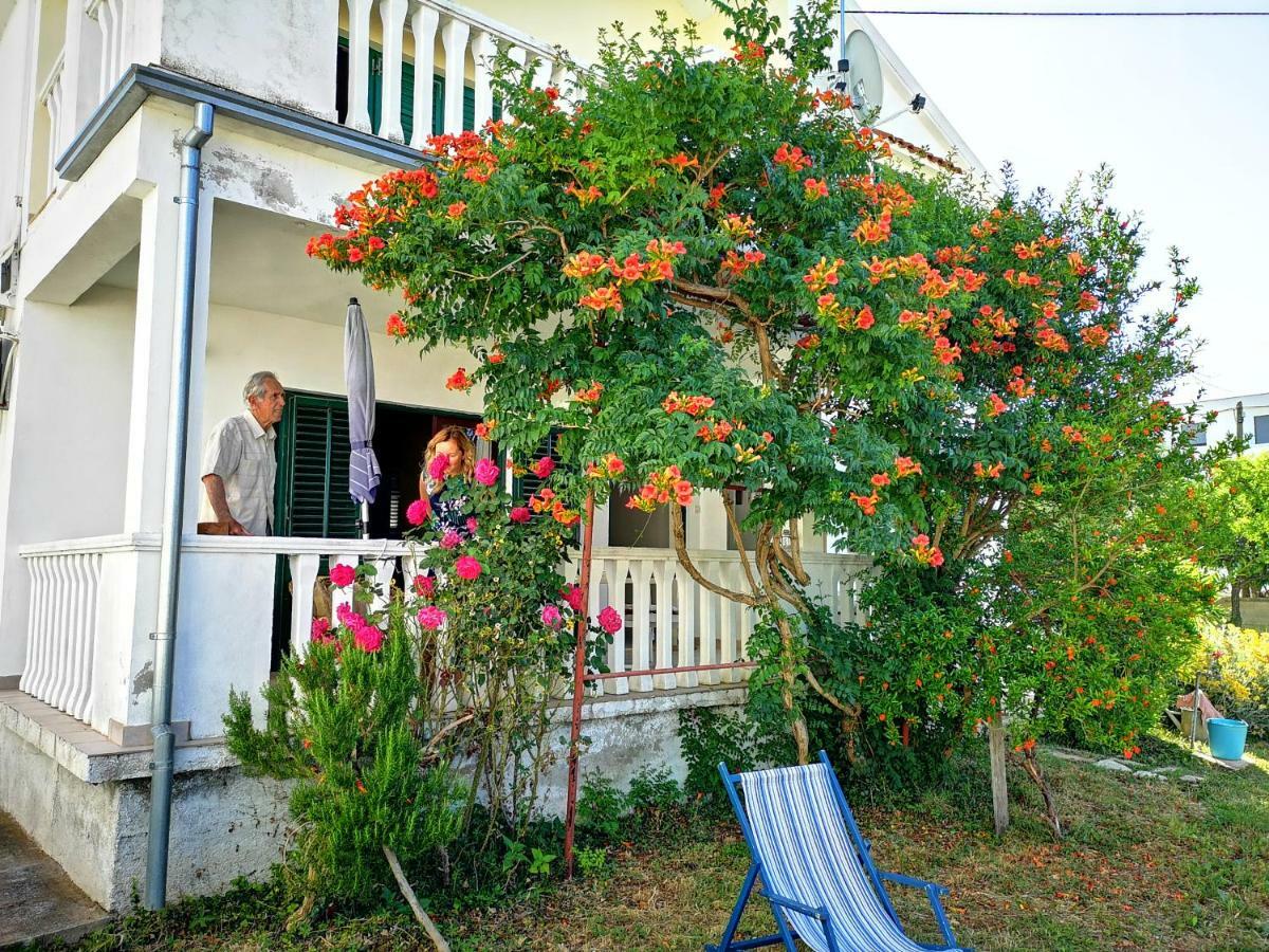 Apartmani Labud Sukošan Exteriér fotografie